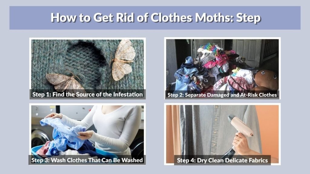 How to Get Rid of Clothes Moths: Step 1