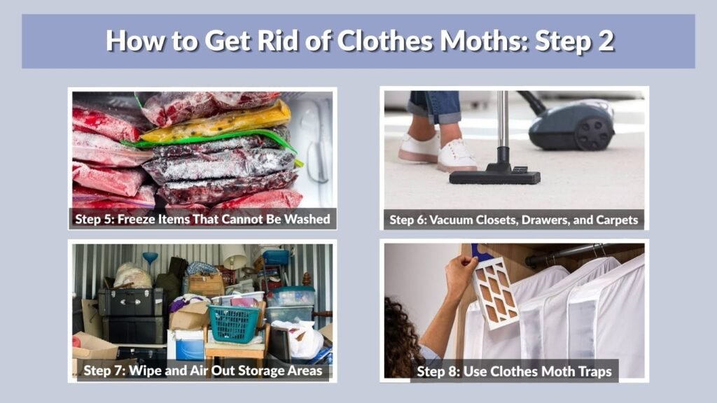 How to Get Rid of Clothes Moths: Step 2