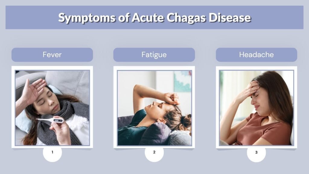 Symptoms of Acute Chagas Disease
