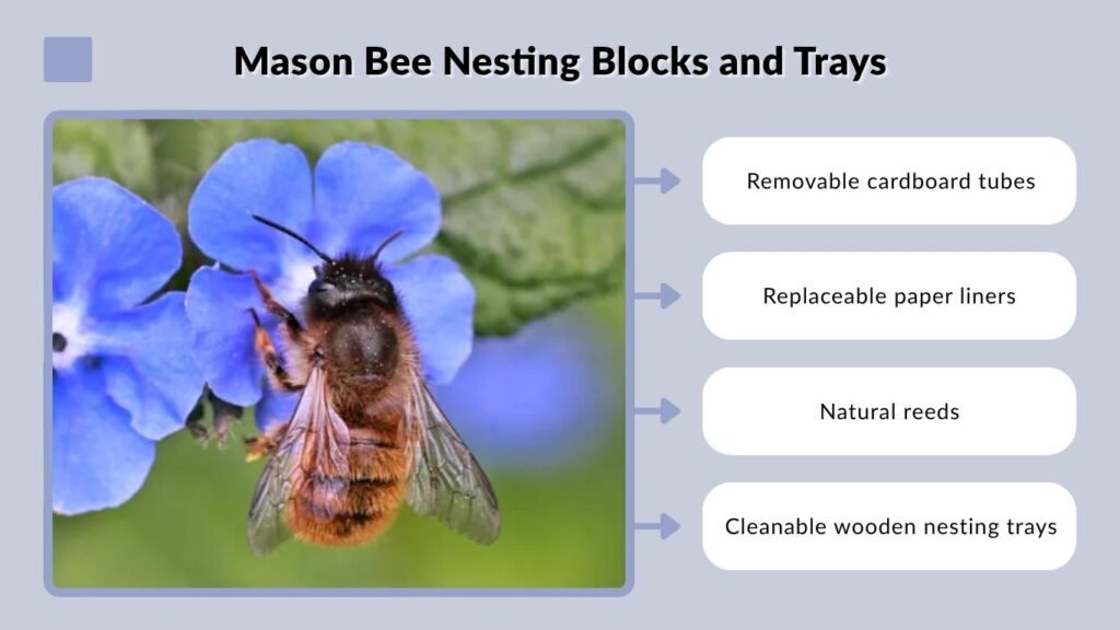 Mason Bee Nesting Blocks and Trays