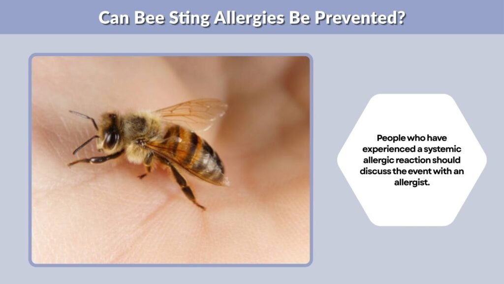 Can Bee Sting Allergies Be Prevented?