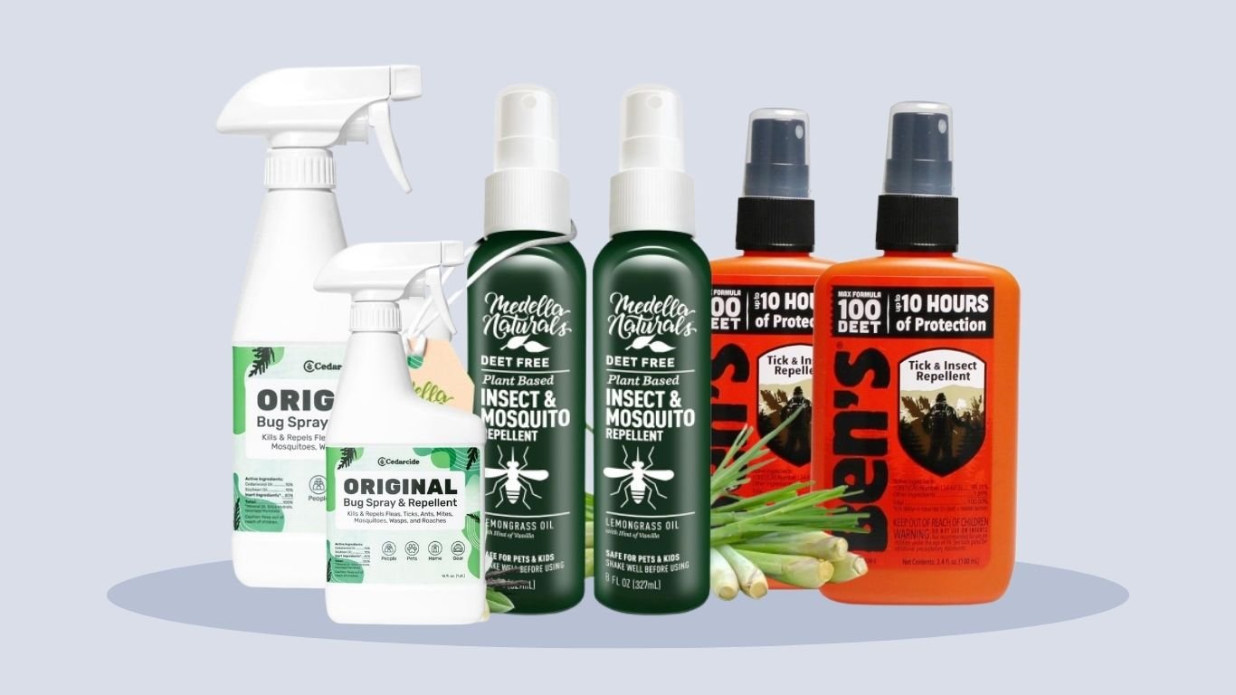6 Best DEET Bug Sprays for Reliable Insect Protection