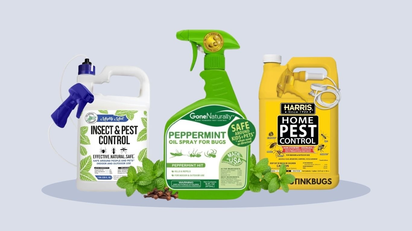 10 Best Bug Sprays for the House in 2026