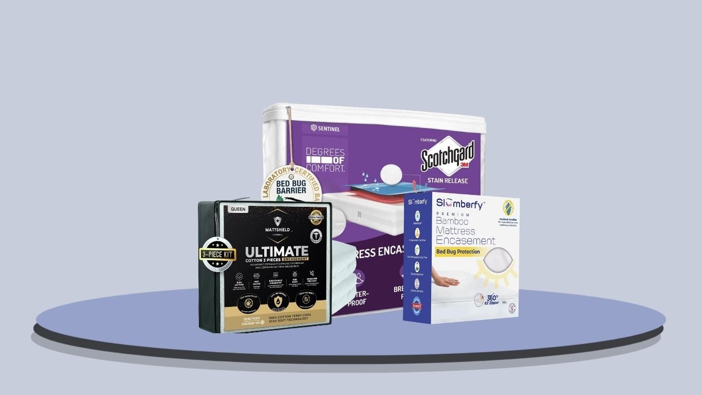 8 Best Bed Bug Encasements for Mattresses in 2026