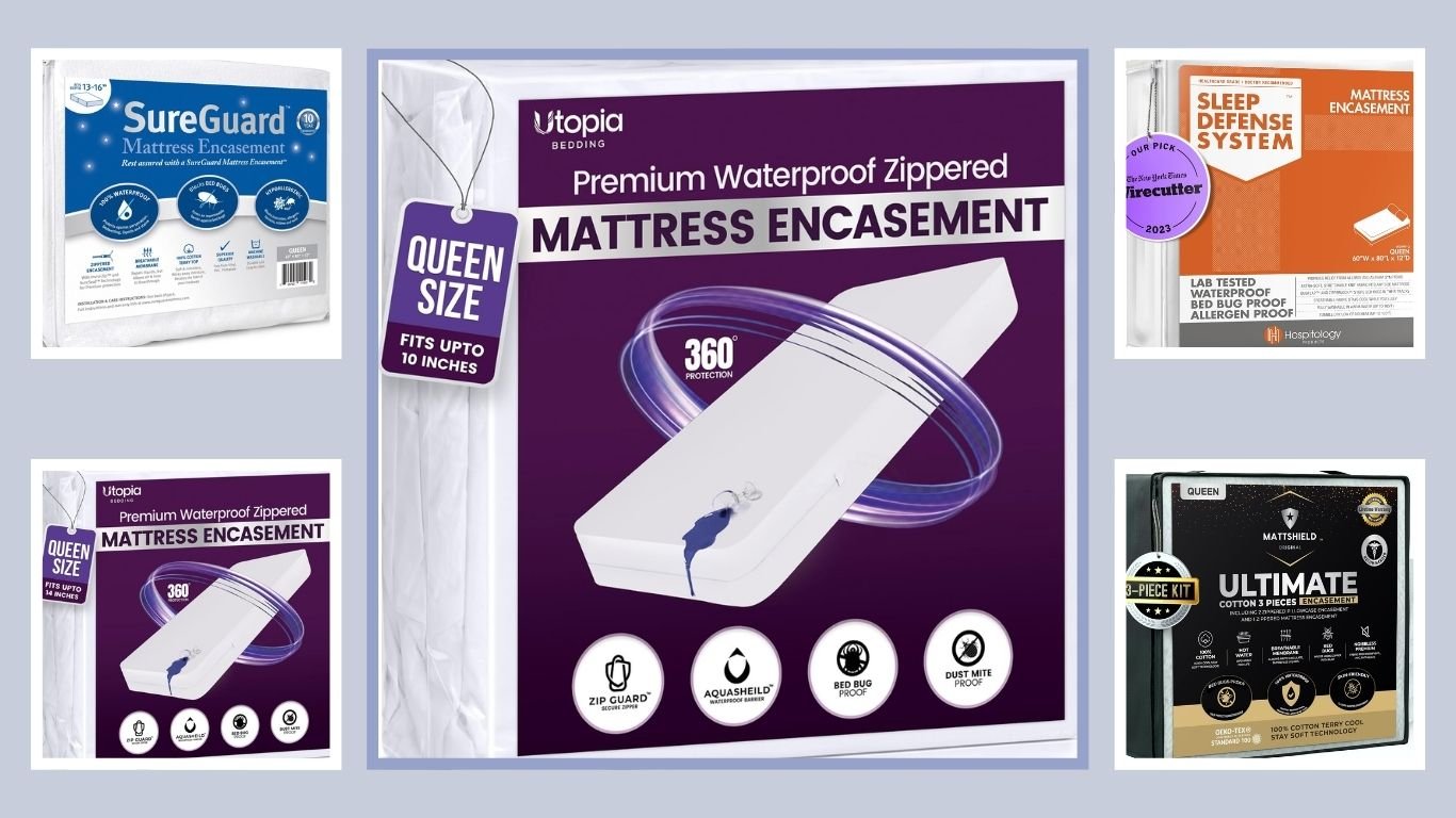 9 Best Bed Bug Bed Covers for Full Mattress Protection