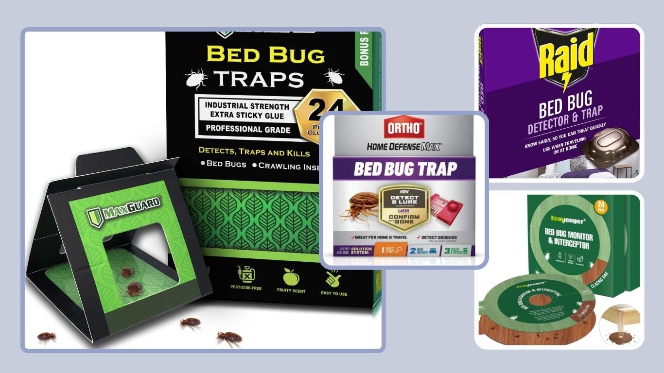 8 Best Bed Bug Traps for Beds, Sofas, and Furniture