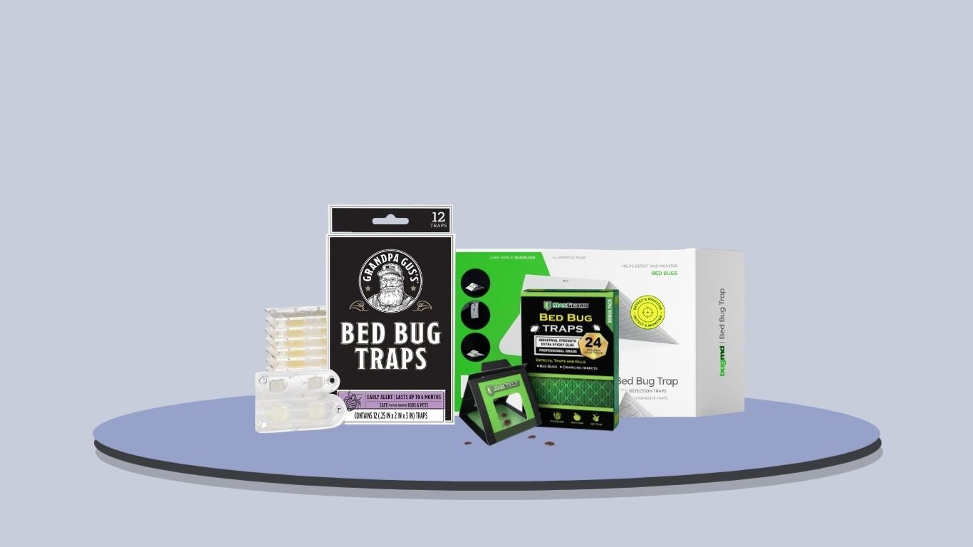 7 Best Bed Bug Catchers for Detection and Monitoring