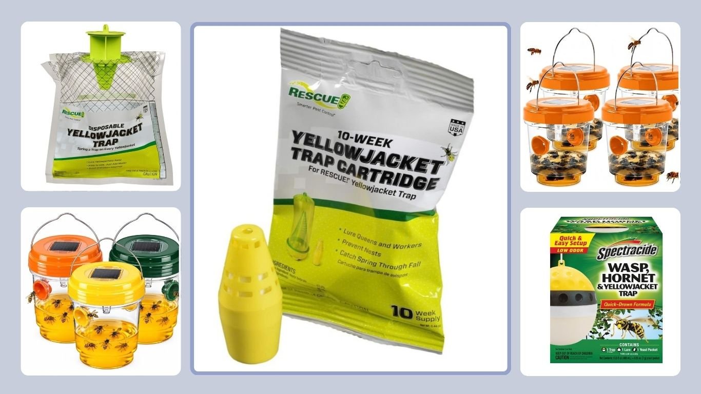 9 Best Yellow Jacket Traps for Effective Outdoor Control