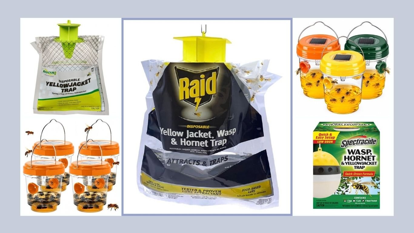 9 Best Yellow Jacket Catchers for Outdoor Control