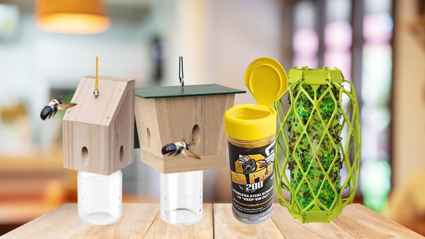 8 Best Carpenter Bee Traps for Effective Outdoor Control