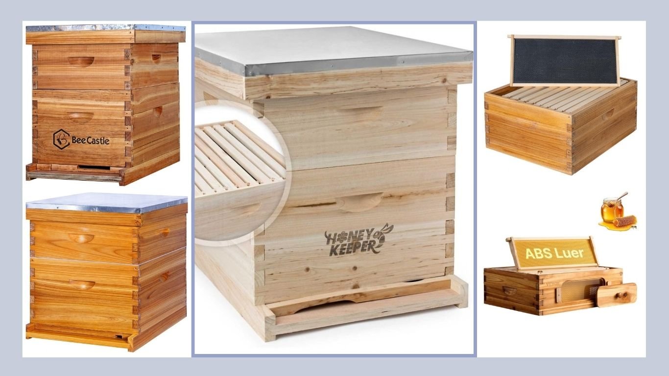 11 Best Honey Bee Boxes for Beekeeping