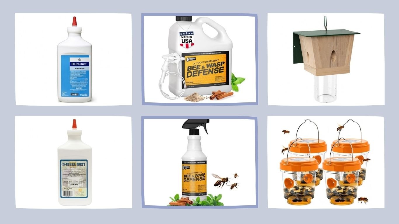 13 Best Bee Exterminator Traps, Sprays and Powders