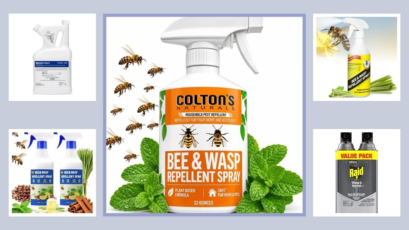 10 Best Wasp Sprays for Fast and Effective Wasp Control