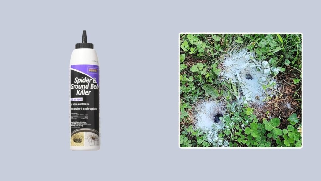 Bonide Spider & Ground Bee Killer