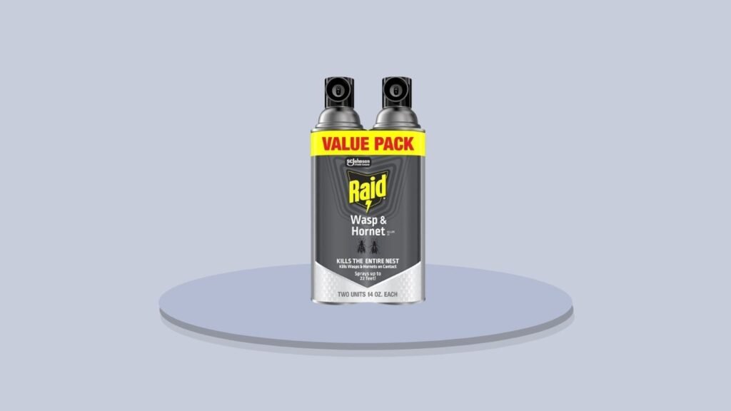 Raid Wasp & Hornet Killer Spray