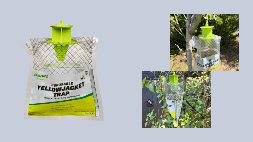 RESCUE! W·H·Y Trap for Wasps, Hornets & Yellowjackets