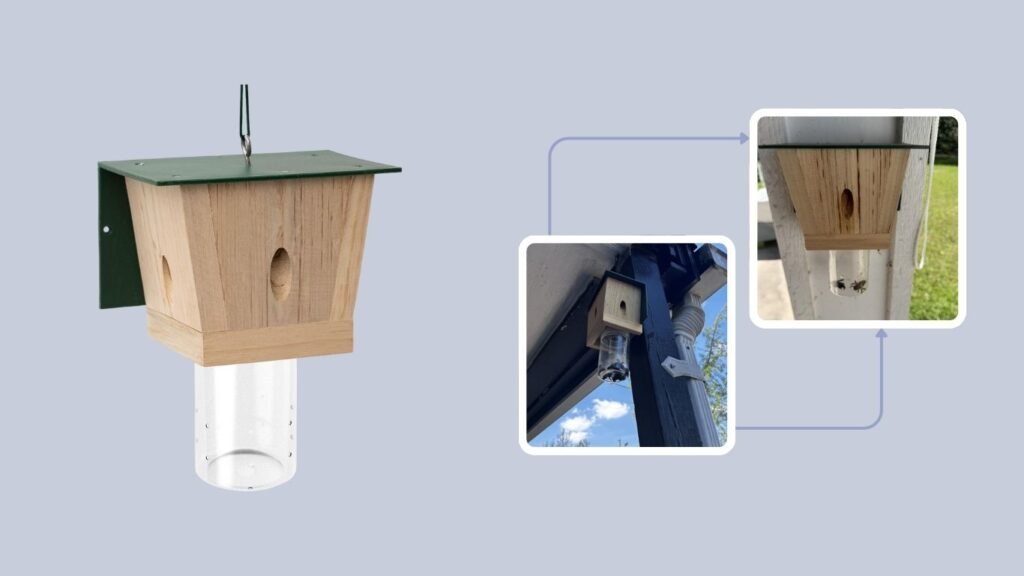 Carpenter Bee Trap for Outside with Removable Catch Container