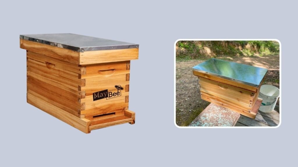 MayBee 5-Frame Complete Langstroth Beehive with Foundations