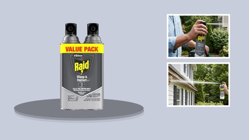 Raid Wasp & Hornet Killer 33