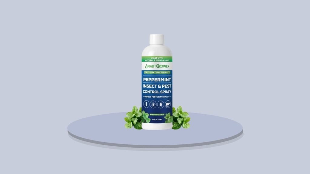 Peppermint Insect Control Spray – Value Concentrate