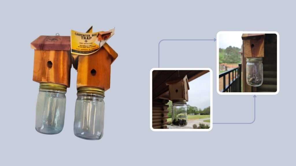 Generic BT-GL2421 Wood Carpenter Bee Trap