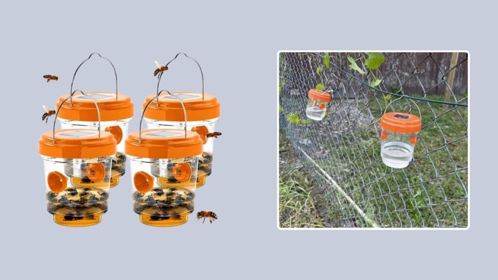 Outdoor Hanging Wasp & Bee Traps