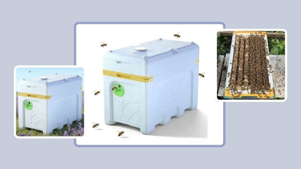 Benefitbee 3-in-1 6-Frame Langstroth Beehive & Swarm Trap