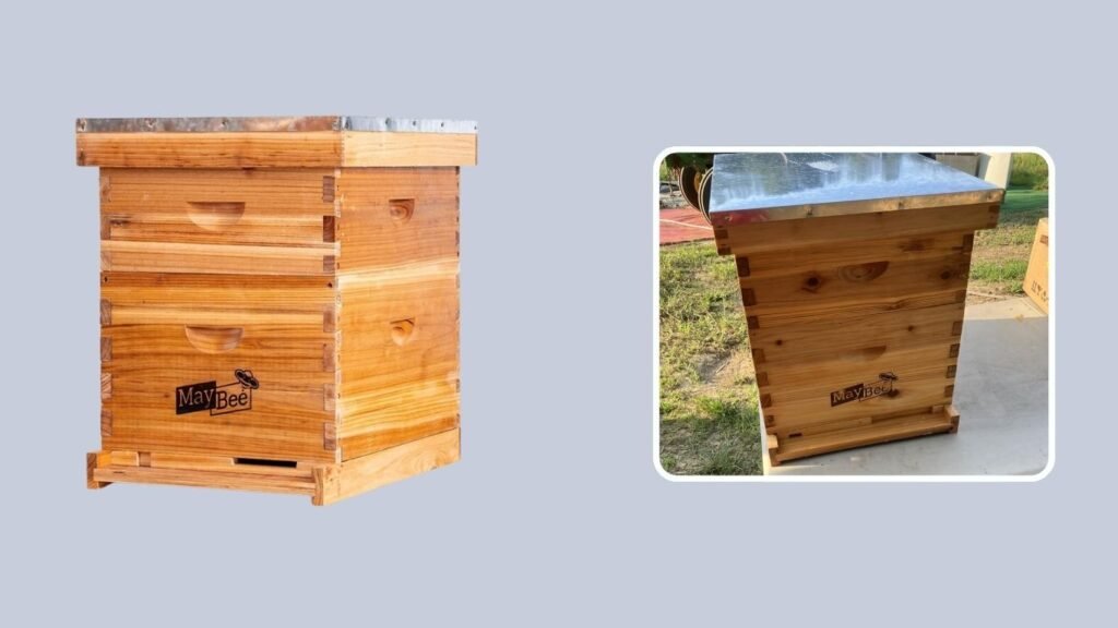 MayBee Complete Beehive Kit with Frames & Foundation
