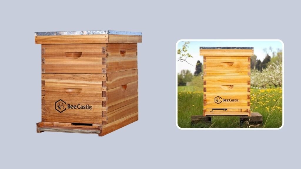 Complete 10-Frame Beehive with Beeswax Foundation