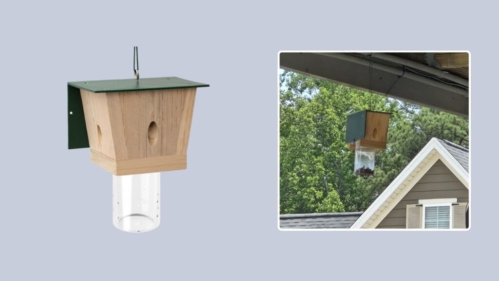  Carpenter Bee Trap with Removable Collection Container