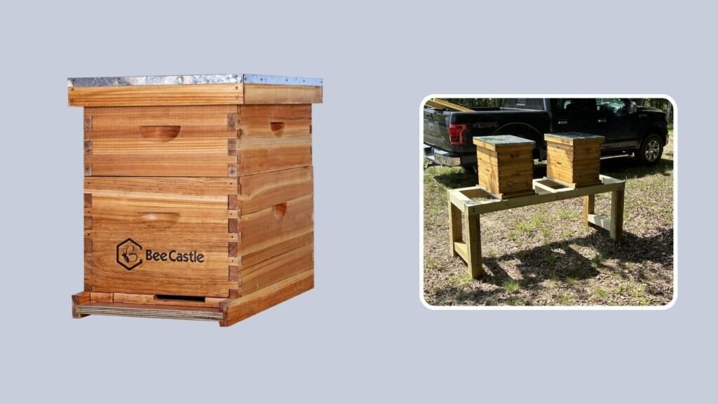 BeeCastle 8-Frame Complete Beehive with Foundation