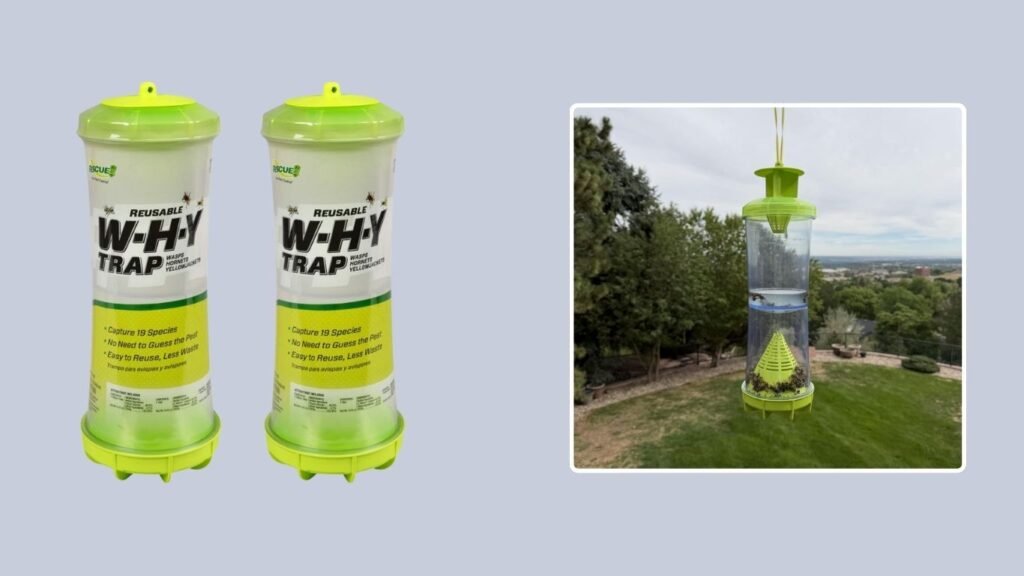 RESCUE! Non-Toxic Reusable Hornet & Yellowjacket Trap
