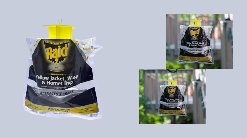 Raid Disposable Yellow Jacket Trap
