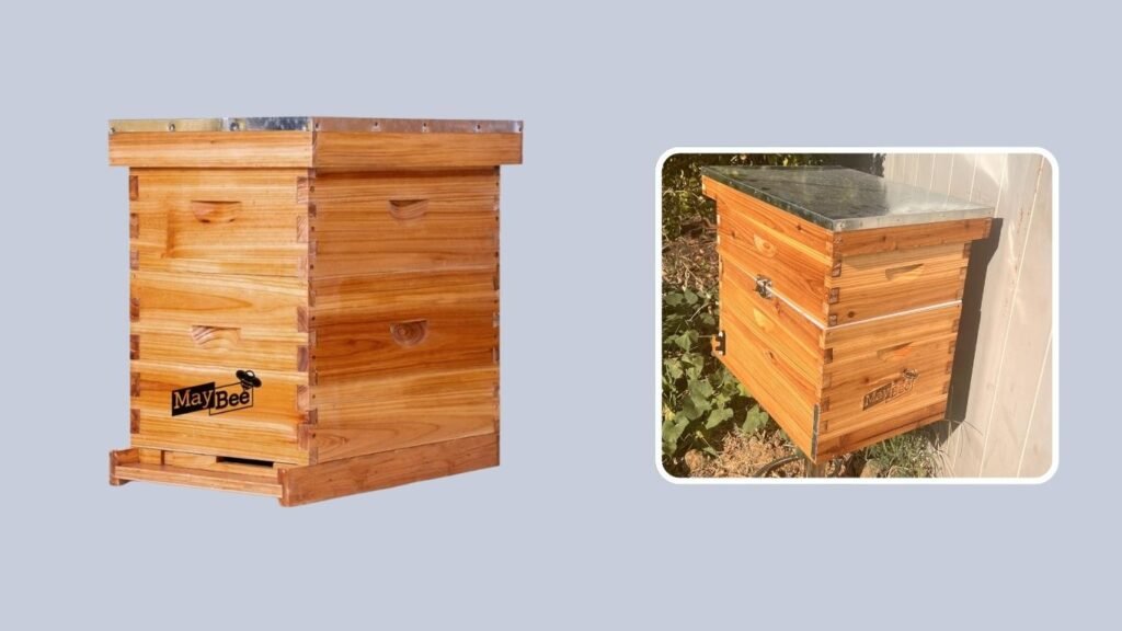 MayBee Langstroth Beehive Kit with Frames & Foundation