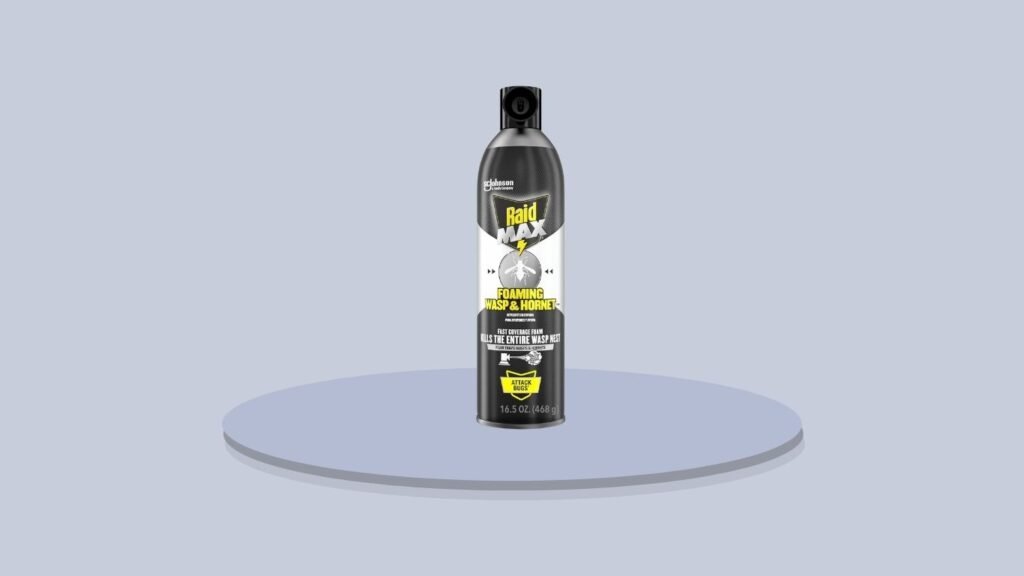 Raid Foaming Wasp & Hornet Killer Spray