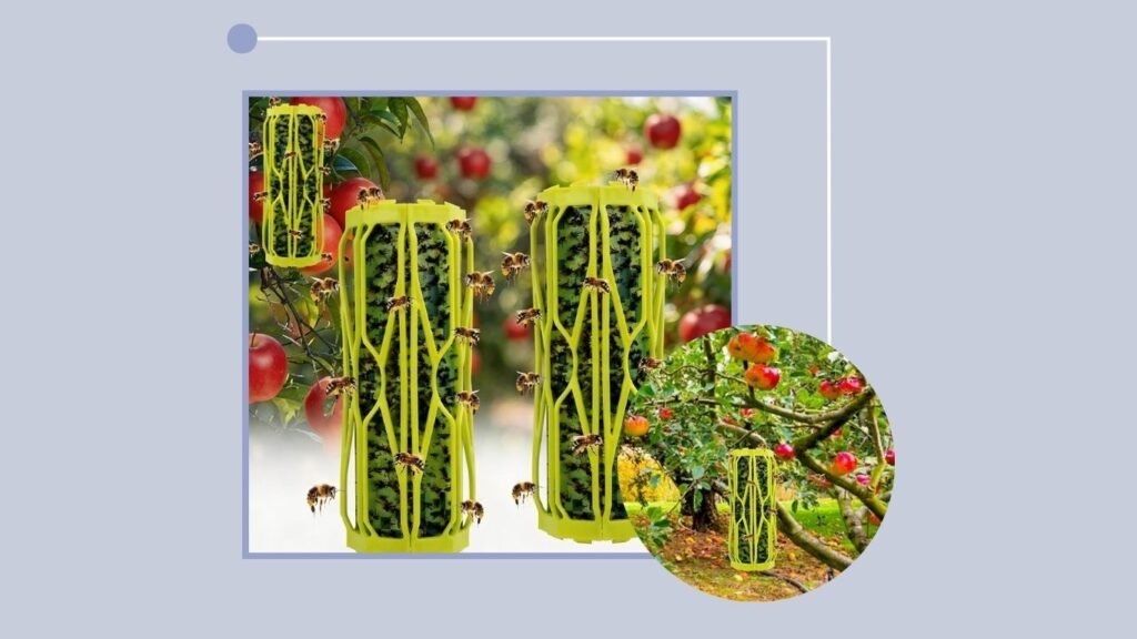 Hanging Wasp Trap Pack for Indoor & Outdoor Use