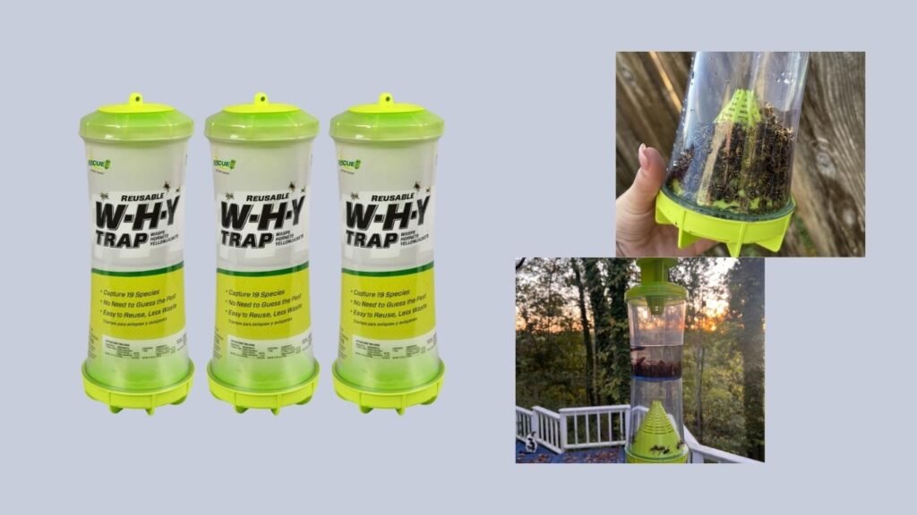 RESCUE! Non-Toxic Reusable Hornet & Yellowjacket Trap