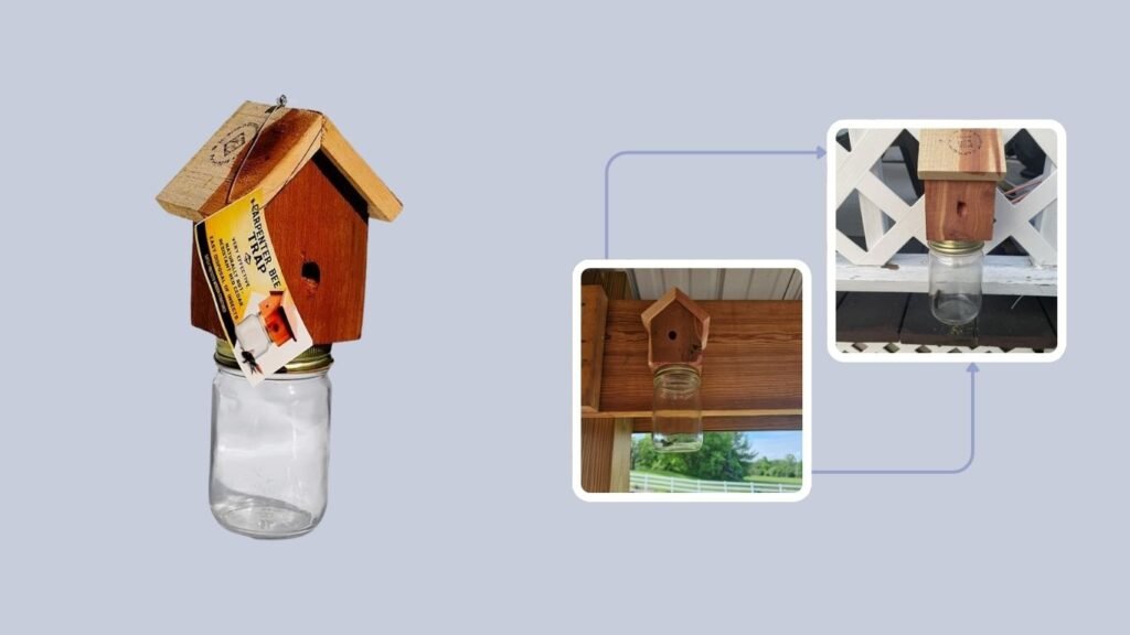 Amish-Made Rustic Cedar Carpenter Bee Trap