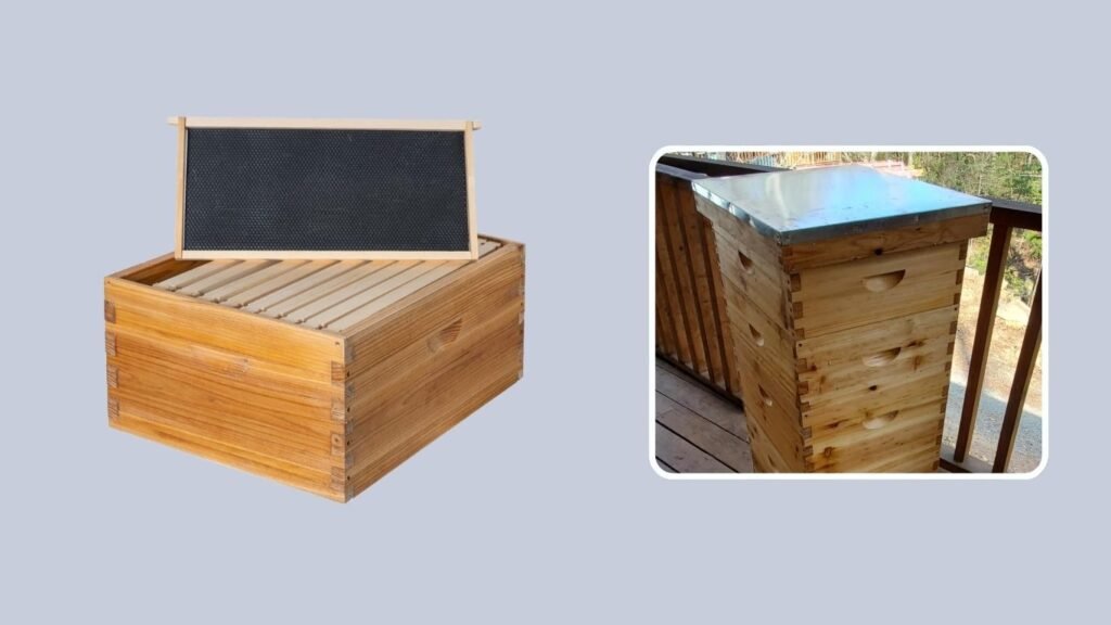 Honey Lake Langstroth Beehive with Foundations