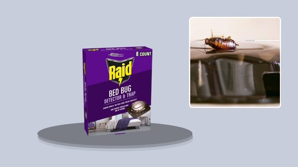 Raid Bed Bug Detector & Trap