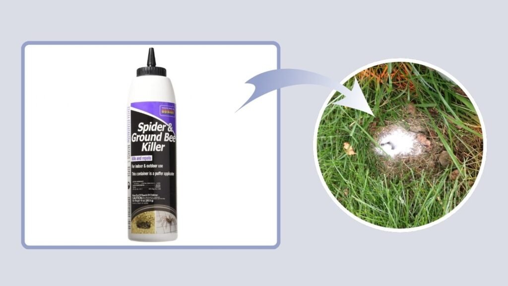 Bonide Spider & Ground Bee Killer