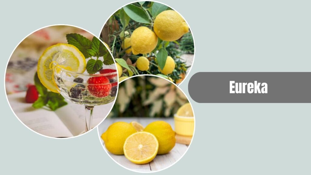Eureka Lemon