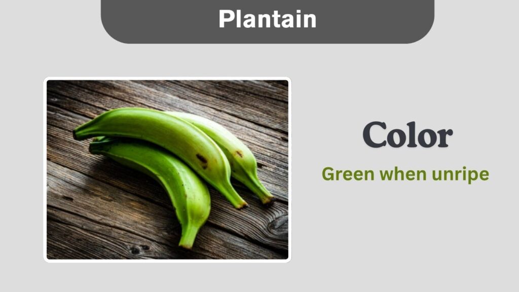 Plantain