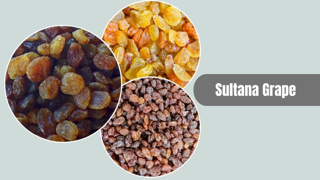 Sultana Grape