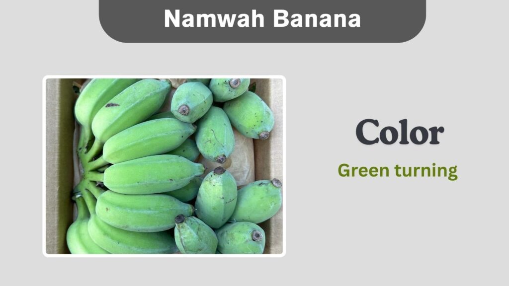 Namwah Banana
