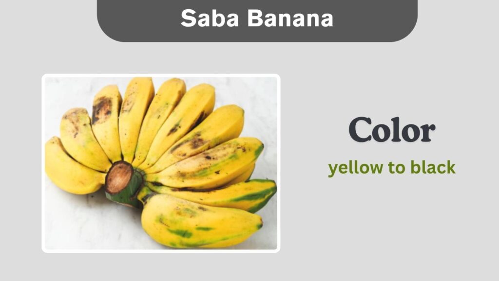 Saba Banana