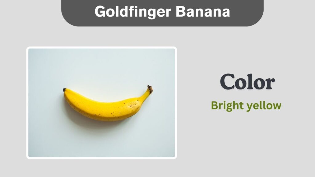 Goldfinger Banana