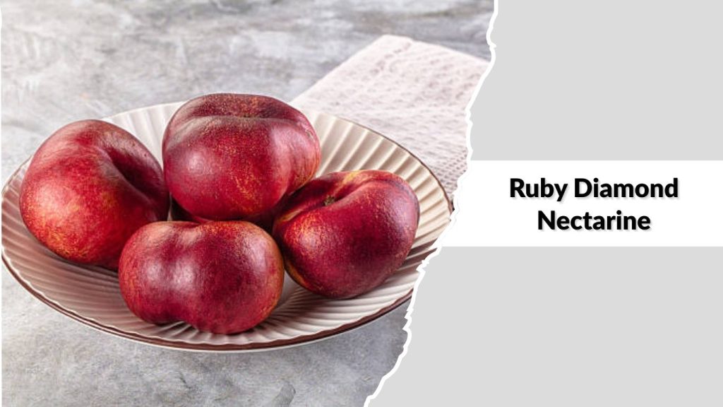Ruby Diamond Nectarine