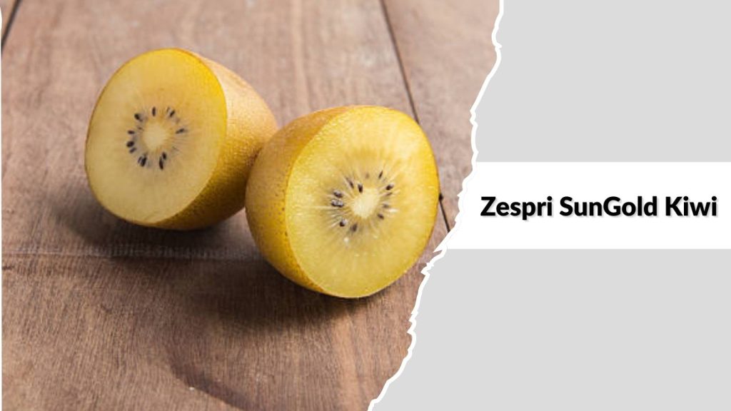 Zespri SunGold Kiwi