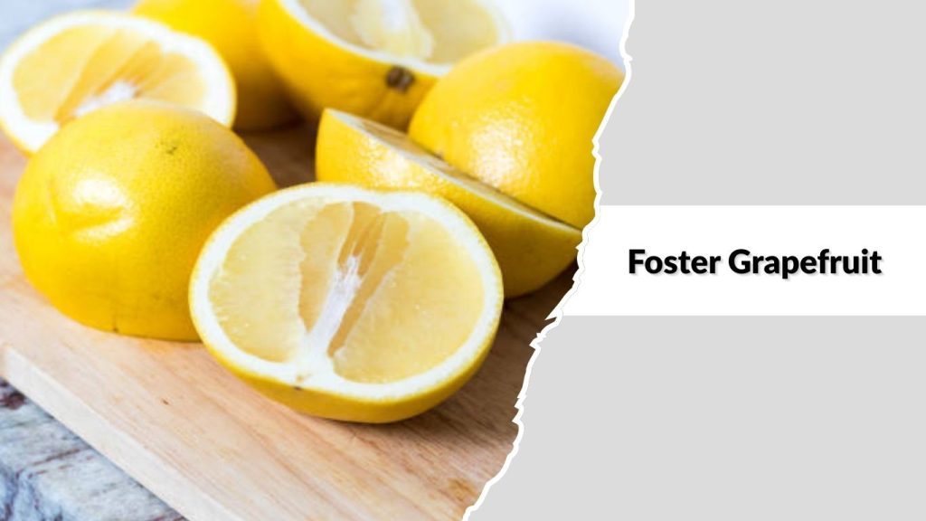 Foster Grapefruit